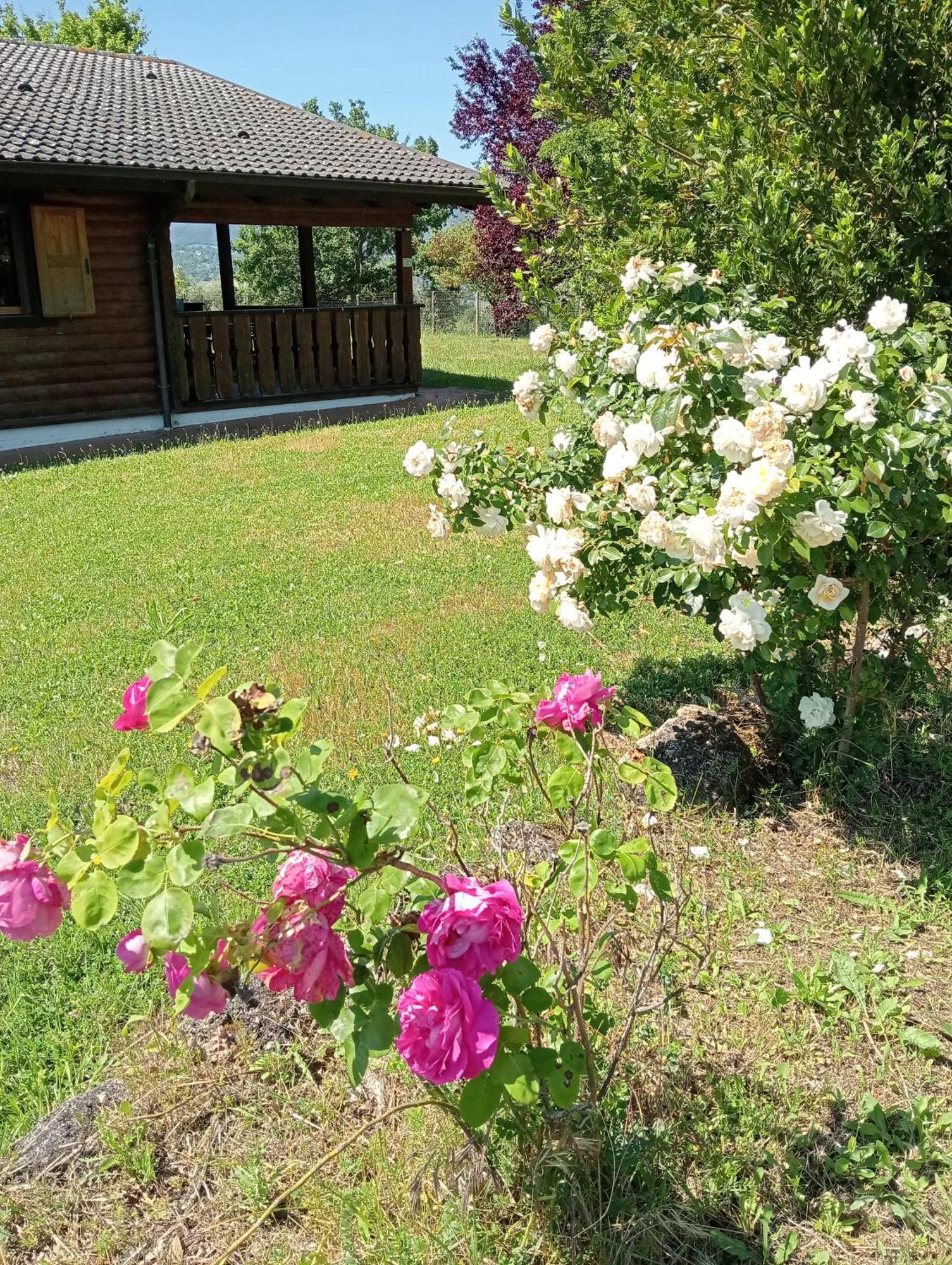 Le Tre Poiane Villa Terni Room photo